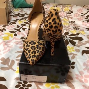 Leopard Pumps from J.Crew